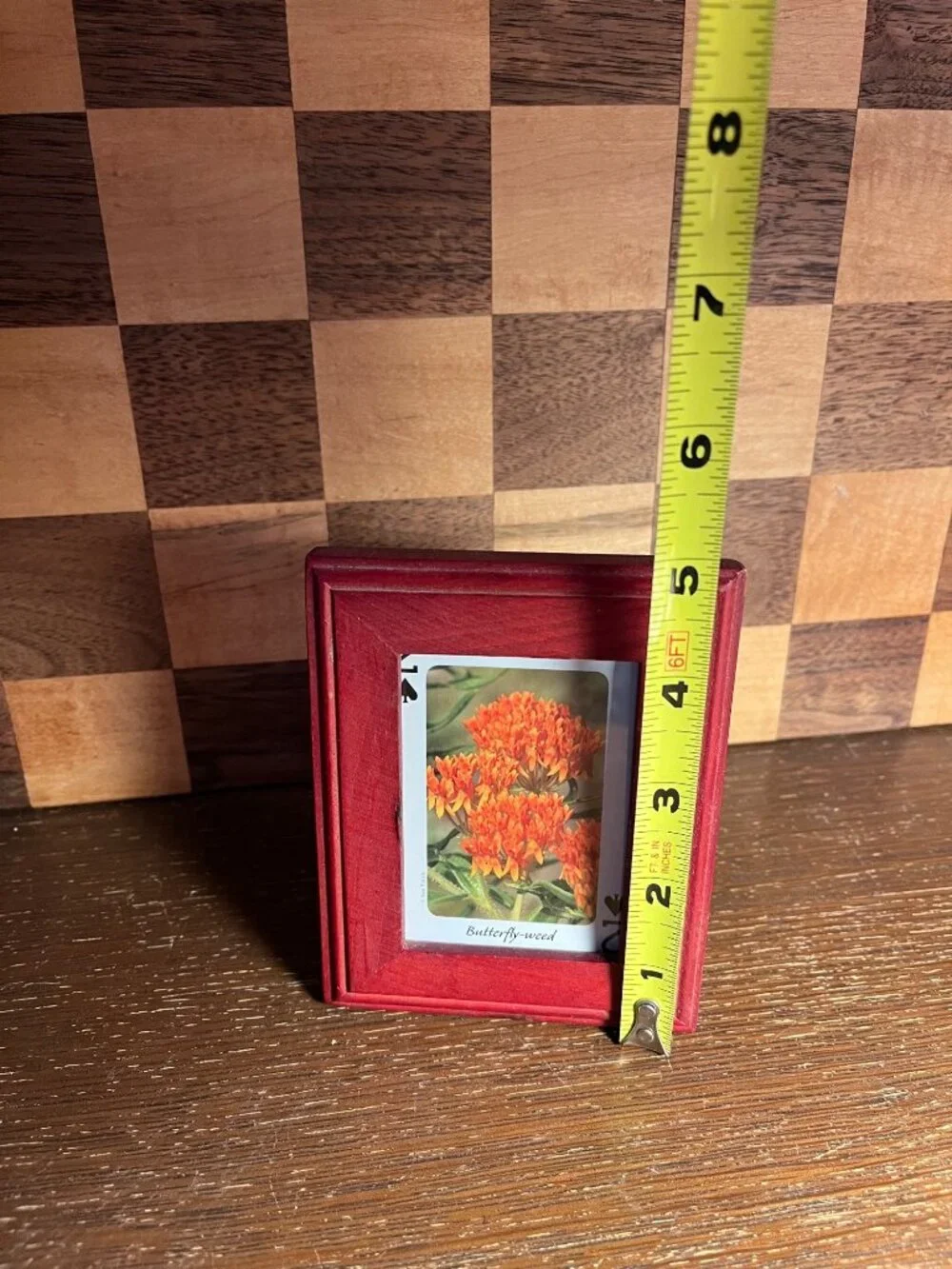 Butterfly Milkweed Playing Card Picture in Red Wood Frame A883